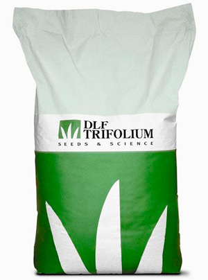 DLF (Trifolium) Робустика, 10кг