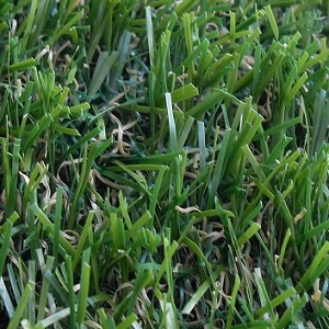 Искусственная трава Эталон h-2см