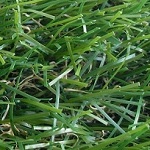 Искусственная трава Эталон h-4см
