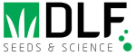 DLF