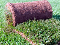 Городской рулонный газон, 0.8 кв.м