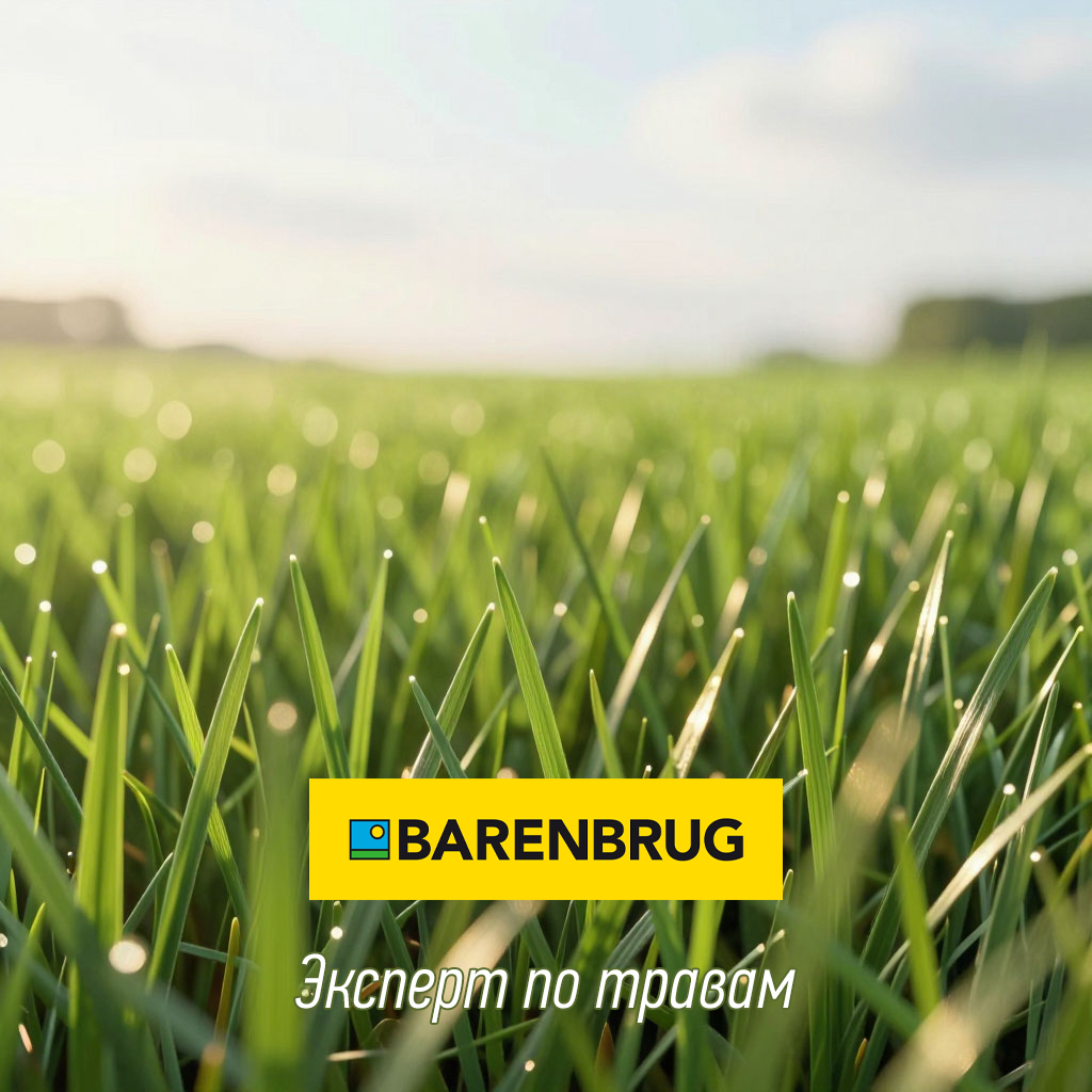 Нож для чистки