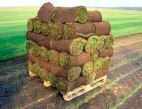 Универсальный рулонный газон, 0.8 кв.м