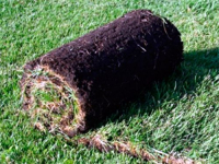 Спортивный рулонный газон, 0.8 кв.м