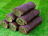 Парковый рулонный газон, 0.8 кв.м